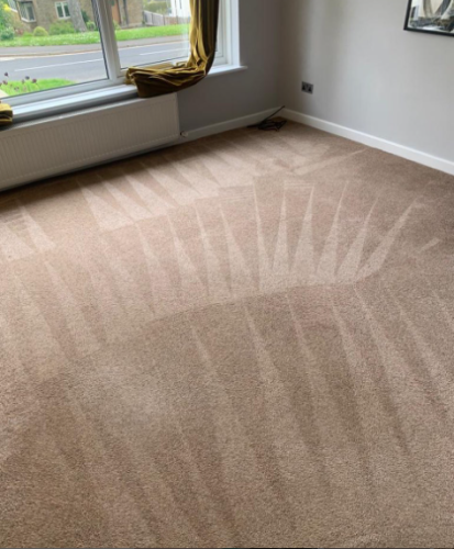 Bedroom carpet cleaning