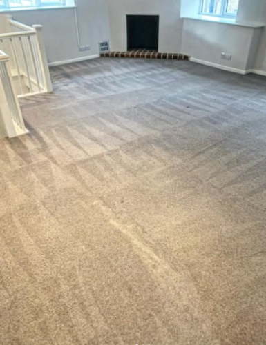 Lounge Carpet Cleaning